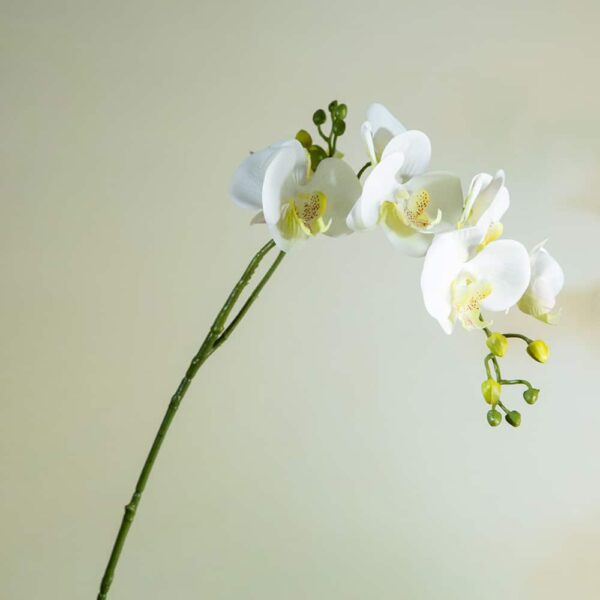 Artificial flower - Orchid