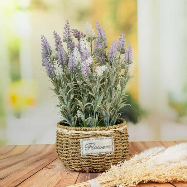 Arrangement - Lavender