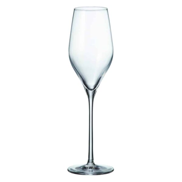 Champagne glasses from Avila series 230ml