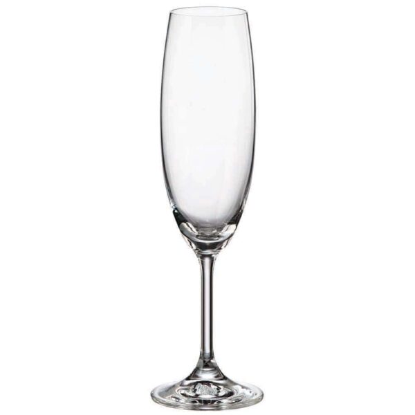 Champagne glasses from the Fiora Mystery series 220ml