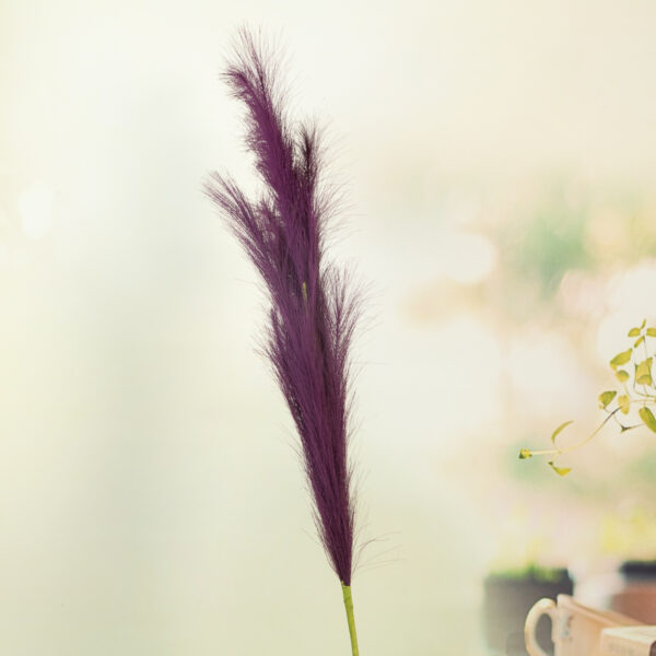 Decoration - Colored Feathers 110cm