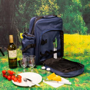 Picnic Backpack for Two - Blue