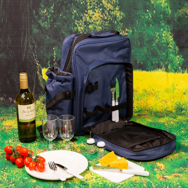 Picnic Backpack for Two - Blue