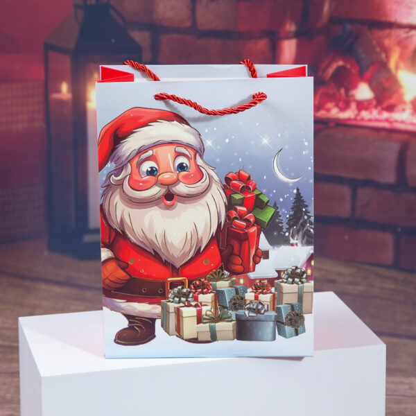 Santa Claus Christmas Gift Bag - M