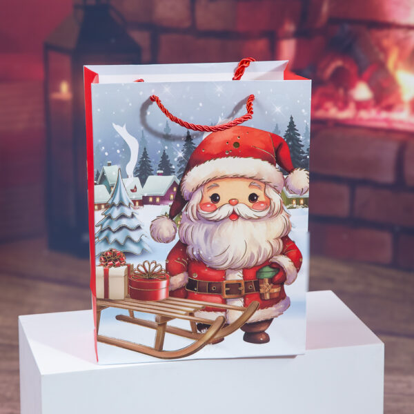 Santa Claus Christmas Gift Bag - M