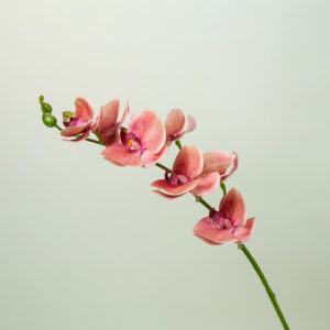 Artificial flower - Orchid