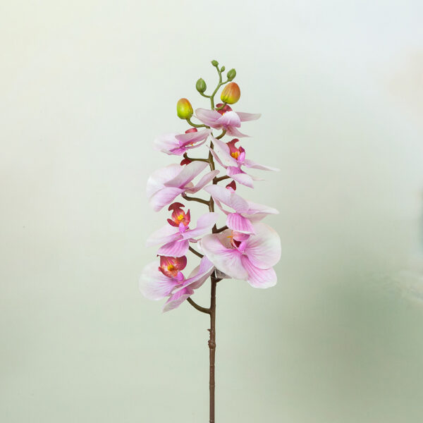 Artificial flower - Colored orchid