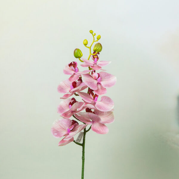 Artificial flower - Colored orchid