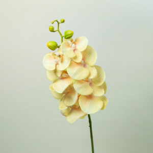 Artificial flower - Colored orchid