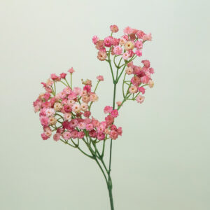 Artificial flower - Gypsophila