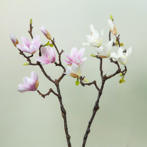 Artificial flower - Magnolia