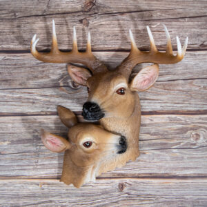 Wall decoration - Couple of deer